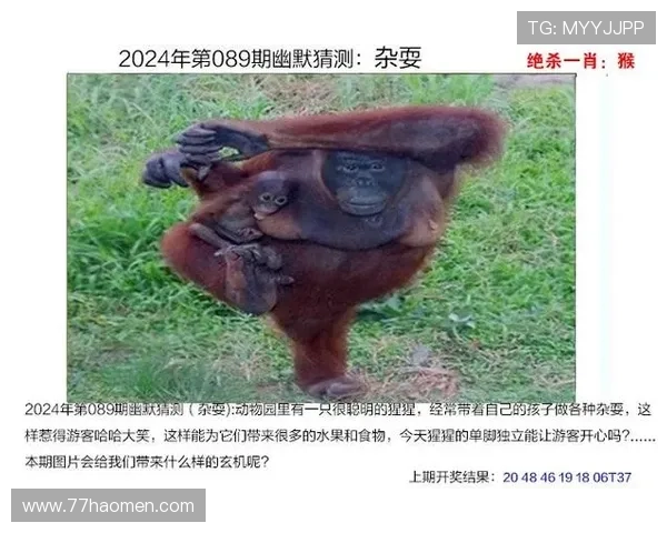 实时更新：澳门码今期开奖结果查询与分析